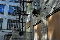 Bild (4)